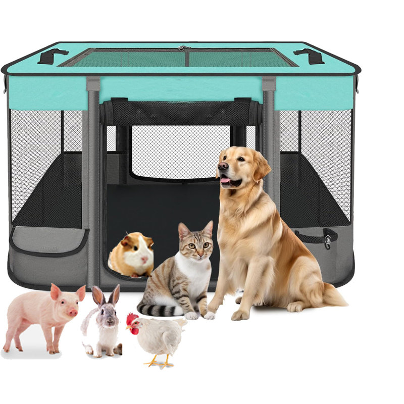 Tucker Murphy Pet Portable Pet Playpen Foldable Exercise Play Tent Kennel Crate For Puppy Dog Yorkie Cat Bunny Great For Indoor Outdoor Travel Camping Use Come With Free Carring Case 600D Oxford M